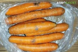 Tamne mrlje na mrkvi - Evo zbog čega nastaju i da li je povrće tada bezbijedno za jelo