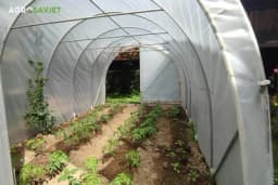 Pokretanje plasteničke proizvodnje: Savjeti za uspješan start