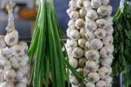 Vijenci bijelog luka - Najbolji su način za čuvanje, a evo i kako ih napraviti