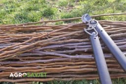 Ne bacajte grane nakon orezivanja! Napravite prirodnu rustičnu ogradu