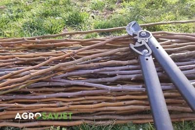 grane koje su orezane u voćnjaku