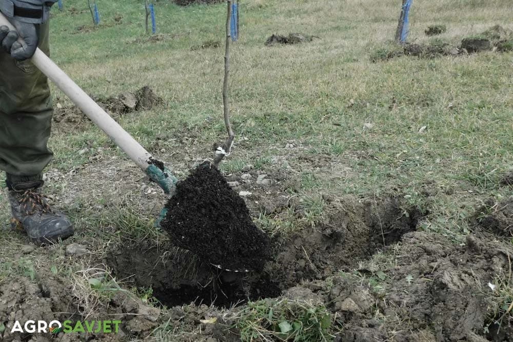 unošenje đubriva u jesen