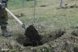 5 zlatnih pravila jesenjeg đubrenja za baštu, voćnjak i njivu