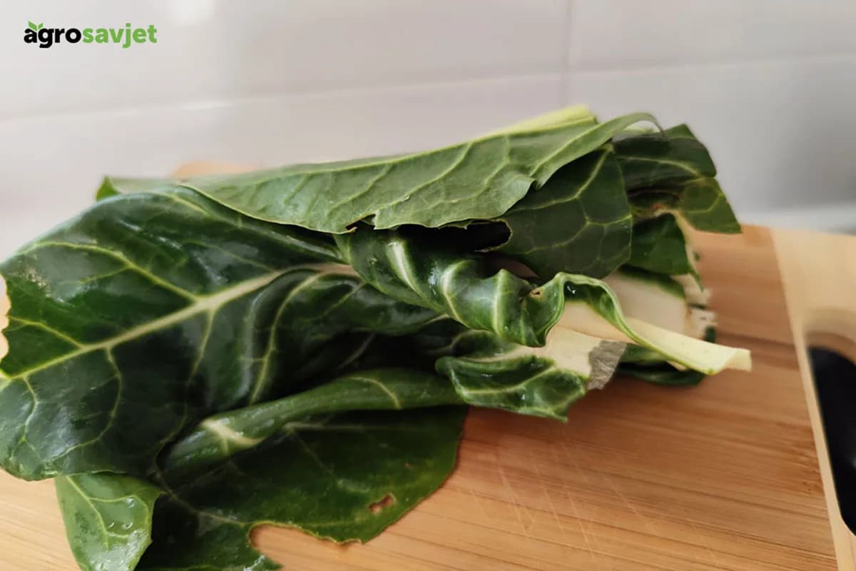 Sirova blitva ili možda kuvana - koja je zdravija?