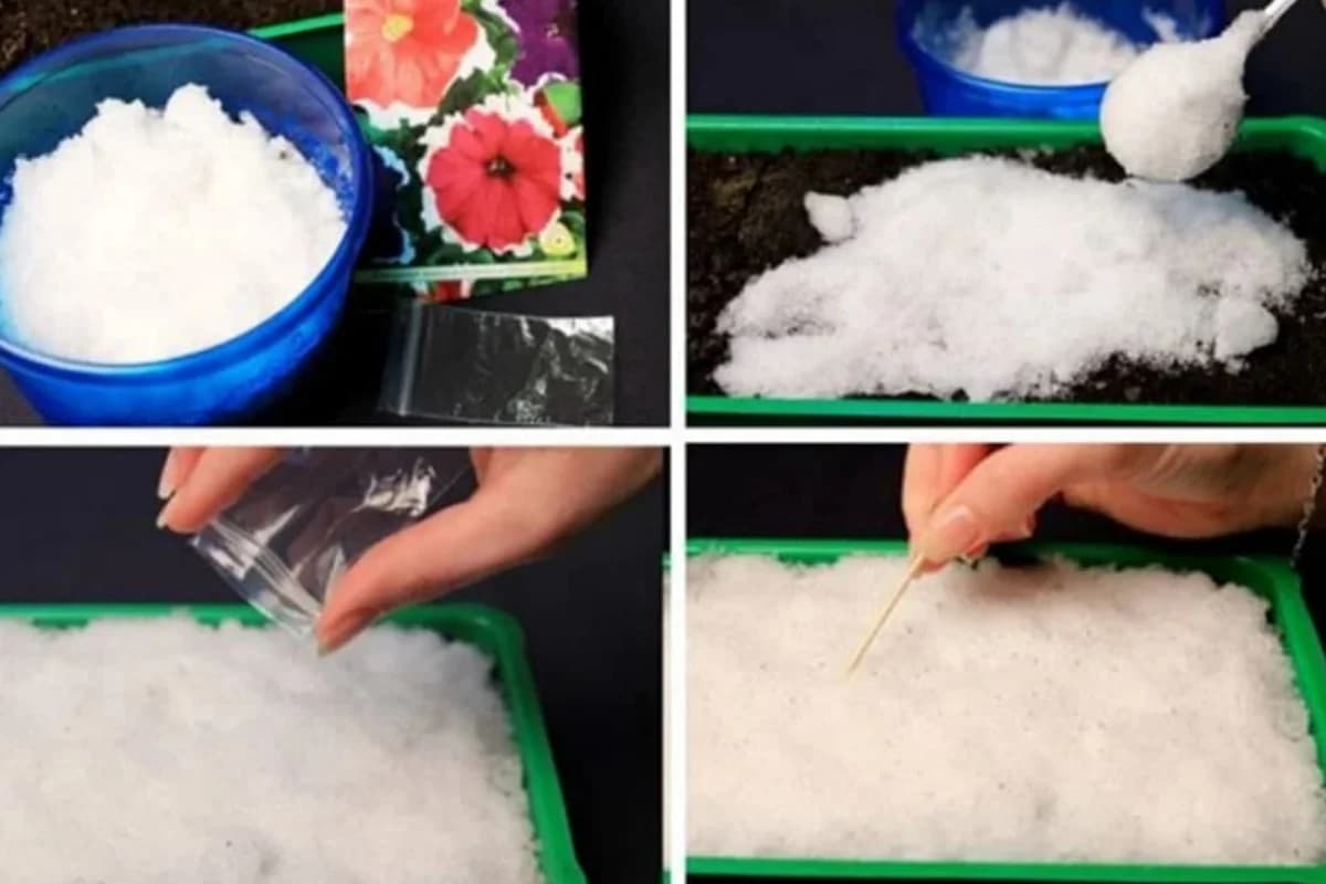 Iskoristite snijeg da lakše posijete sitno sjeme