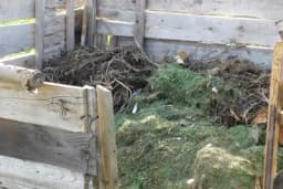 Šta je kompost i kako ga napraviti?