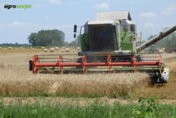 Stiže li najteža godina za ratare? Pšenica i kukuruz drastično gube na vrijednosti, prognoze nisu optimistične