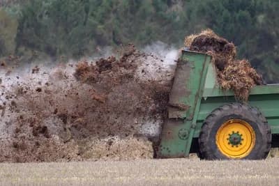 Organsko ili mineralno: Koje đubrivo čini tlo zdravijim i plodnijim?