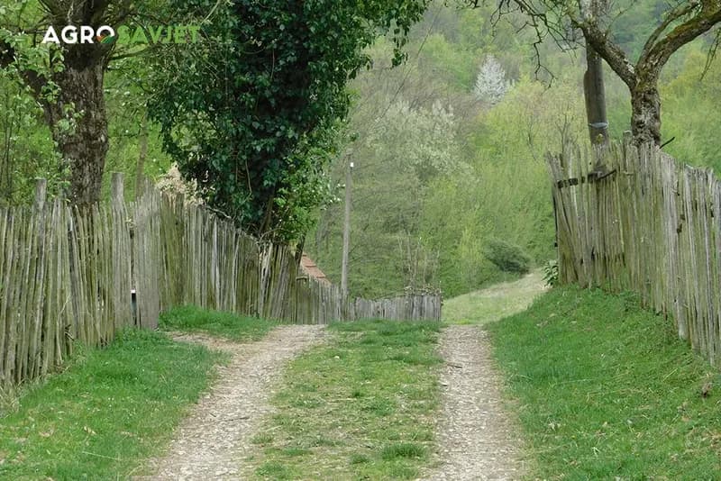 Poznate ličnosti u poljoprivredi