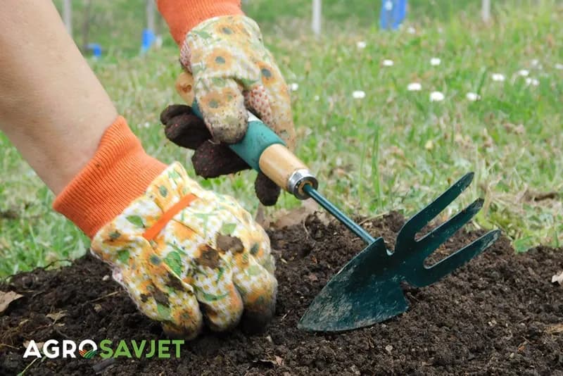 Za sjetvu povrća najbolje je koristiti gotove supstrate