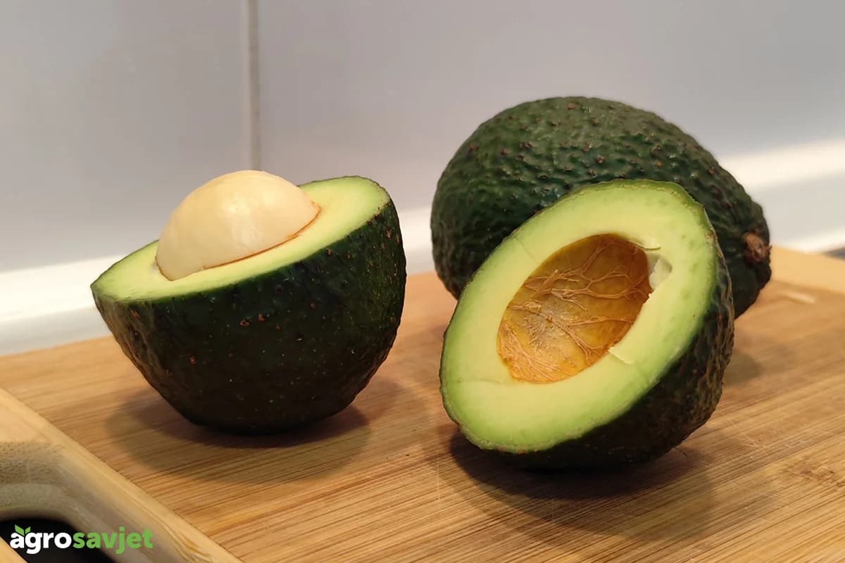 Ostalo vam je pola avokada? Evo kako da ga sačuvate i iskoristite bez bacanja