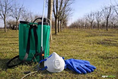 Bez ovog prskanja nema roda: Kada i čime obaviti prvo proljetno tretiranje voćaka