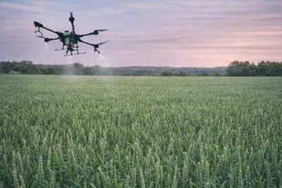 Zaboravite traktor u njivi: Tretiranje dronom sve češći izbor poljoprivrednika