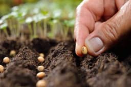 Objavljen Pravilnik o uslovima i načinu ostvarivanja novčanih podsticaja u Republici Srpskoj