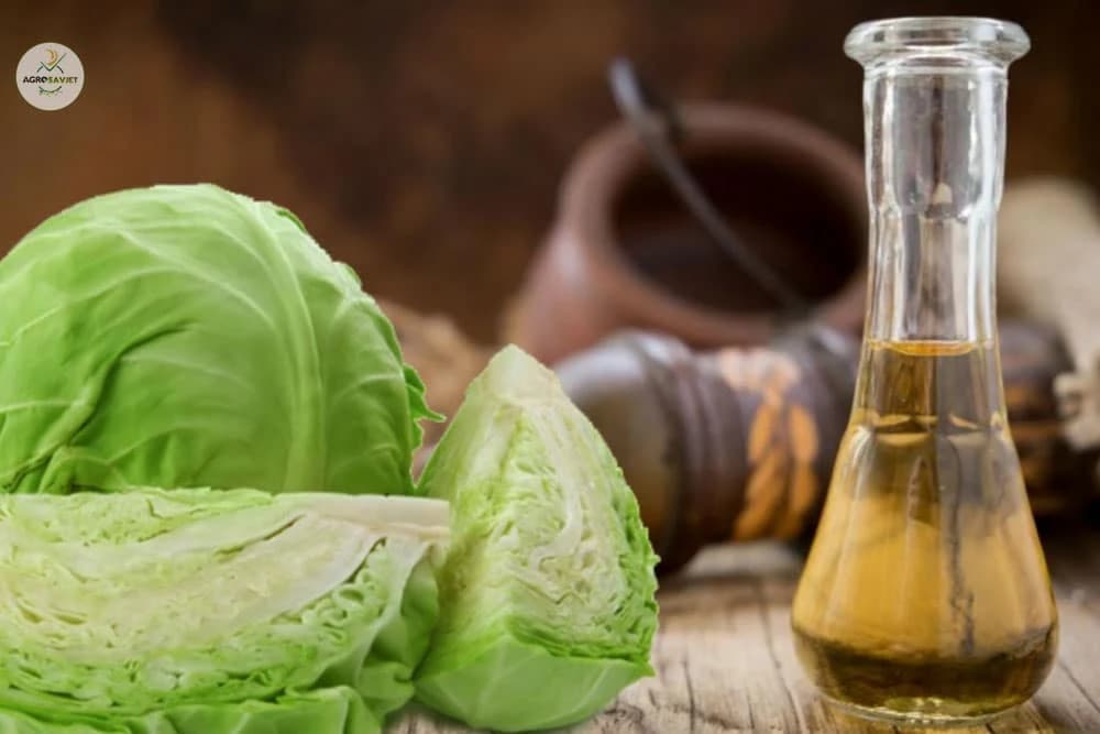 Ovaj majstor pravi rakiju čak i od kupusa!