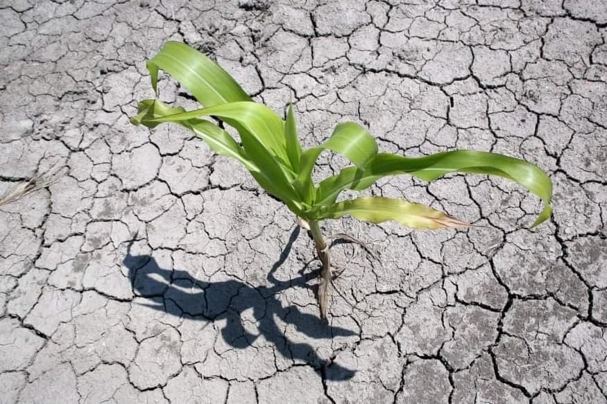Zemljištu u Evropi prijeti isušivanje