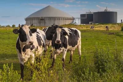 U Subotištu otvorena biogasna elektrana