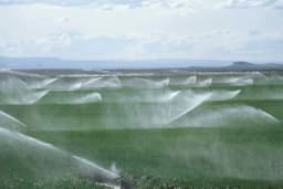 POLJOPRIVREDNICI MOGU DA ODAHNU Akumulacija za lakše navodnjavanje ljubinjskog polja
