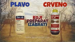 RAZLIKA IZMEĐU PLAVOG I CRVENOG ULJA