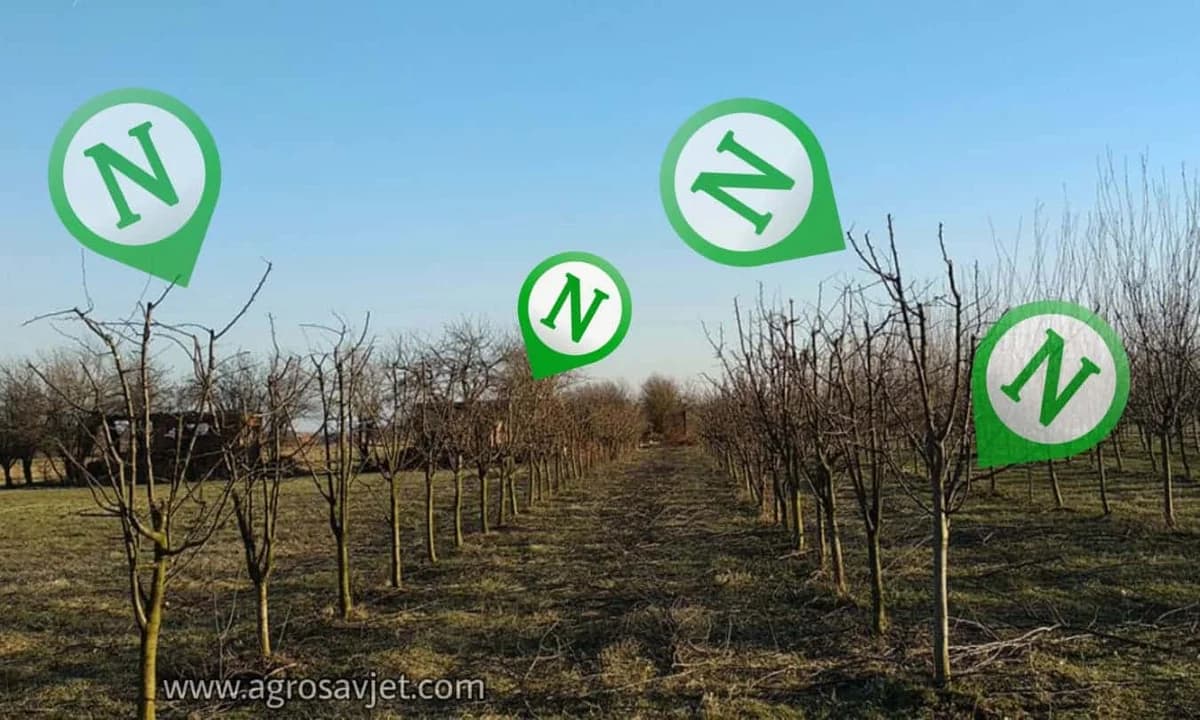 Azotna đubriva