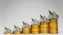 Ne štiti ni od vampira ni od virusa: Paprena cijena bijelog luka u Beogradu