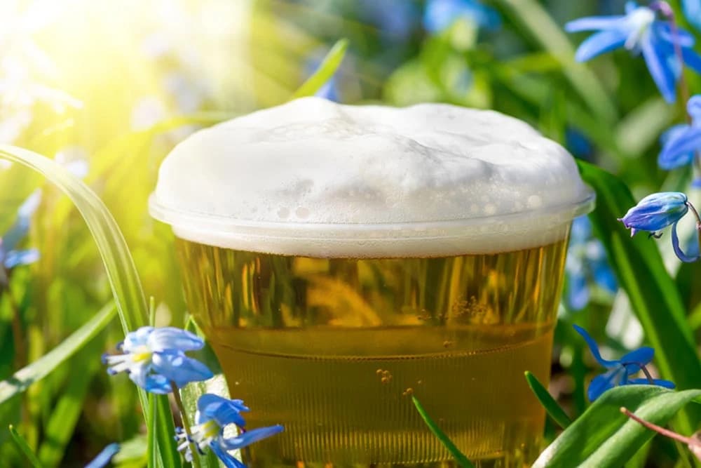 pivo