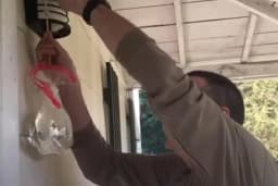 Spriječite muve da ulaze u kuću - potrebni su vam samo kesa sa vodom i novčići! (VIDEO)