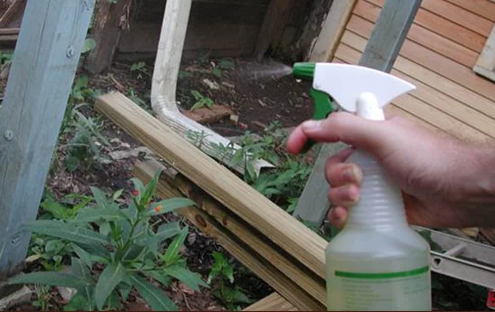 Sirće spašava biljke od suše!