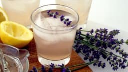 Recept za domaći sok od LAVANDE