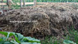 Stajnjak - Njegove vrste i prednosti pojedinih đubriva