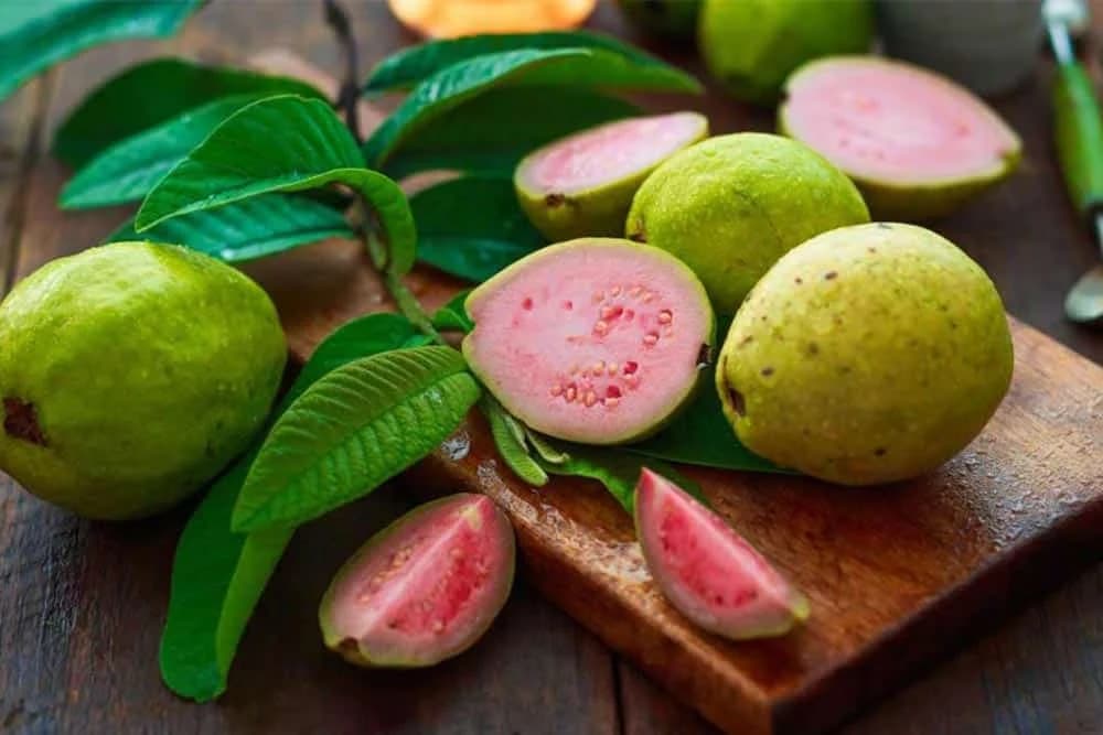 guava