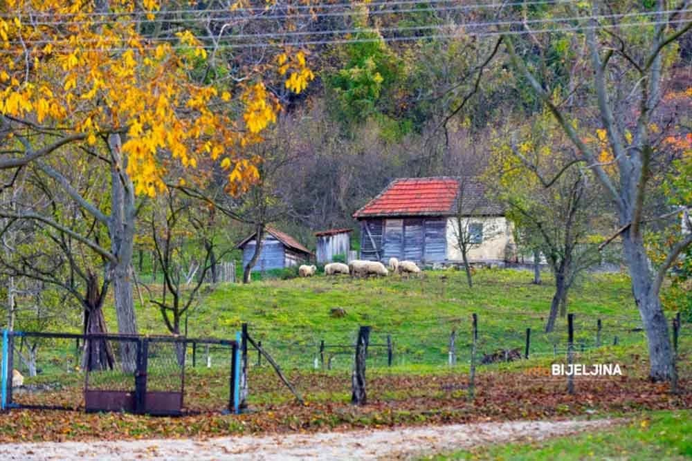 Pusta sela oko manastira Tavna: Duhovnik Lazar nekad cijelu sedmicu obilazio kuće, sad svećenje vodice završi za dan