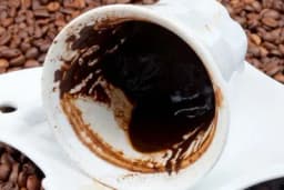 Sačuvajte talog od kafe i napravite tečno đubrivo za cvijeće