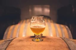 Na Islandu prave pivo od graška i crvenog kupusa