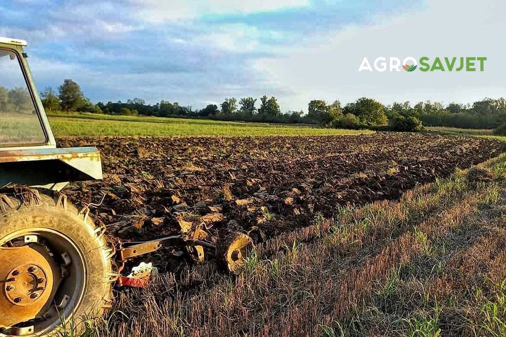 septembarski radovi u ratarstvu