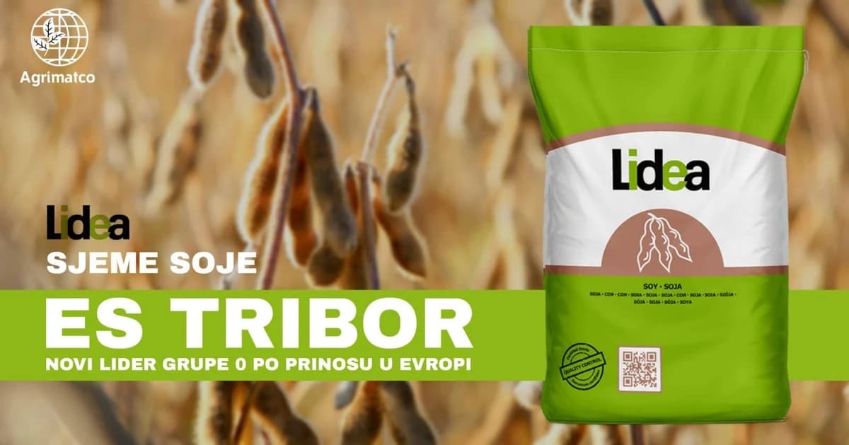 Lidea sjeme soje ES Tribor