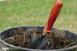 Bez STAJNJAKA nema zdravog POVRĆA: Otkrijte zašto je STAJNJAK nezamjenjiv za uspješnu POVRTARSKU proizvodnju