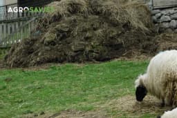 Vrste stajnjaka i njihov značaj