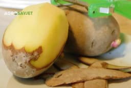 Kora od krompira je neotkriveno blago: Nikako je ne bacajte, ovo je njena nova svrha i vau efekat