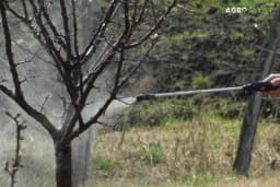 Jesenje prskanje voćnjaka: Mjere za očuvanje zdravlja voća