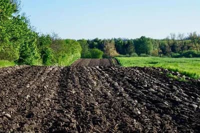 Kako poljorivrednici ocjenjuju godinu iza nas?