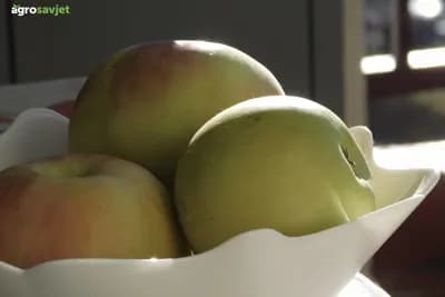 Velika je razlika ako jabuku jedemo povremeno ili svaki dan