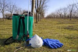 Bez ovog prskanja nema roda: Kada i čime obaviti prvo proljetno tretiranje voćaka