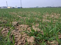 Poskupljuje đubrivo: "Ne daju nam prići ni u apoteku ni u banku"